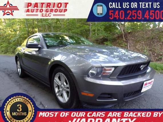 FORD MUSTANG 2010 1ZVBP8AN3A5129039 image