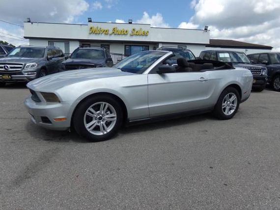 FORD MUSTANG 2010 1ZVBP8EN4A5175781 image