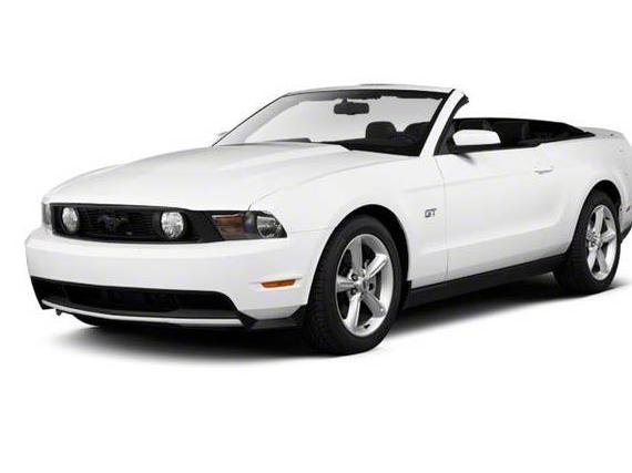 FORD MUSTANG 2010 1ZVBP8EN3A5173973 image