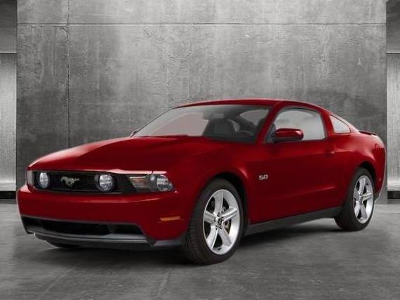 FORD MUSTANG 2010 1ZVBP8AN4A5115697 image