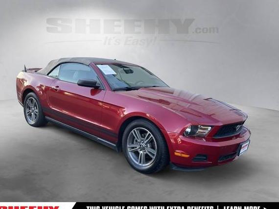 FORD MUSTANG 2010 1ZVBP8EN0A5110586 image