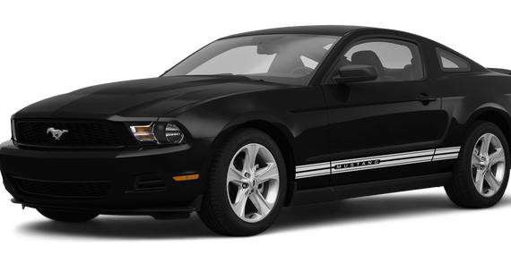 FORD MUSTANG 2010 1ZVBP8AN3A5104495 image