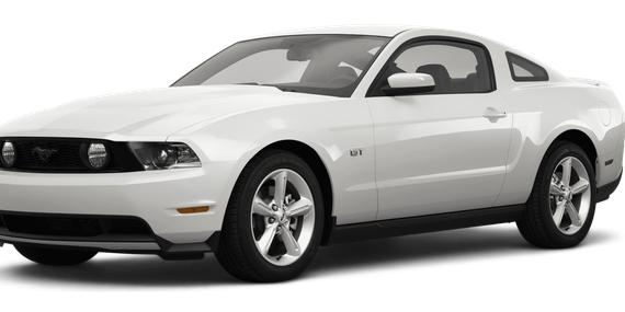 FORD MUSTANG 2010 1ZVBP8CH9A5121485 image