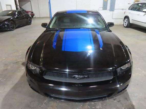 FORD MUSTANG 2010 1ZVBP8AN1A5134465 image