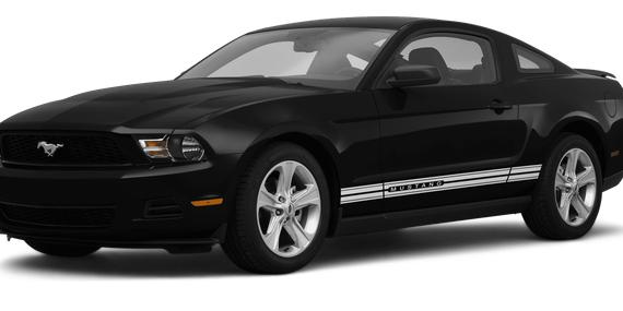 FORD MUSTANG 2010 1ZVBP8AN6A5150631 image