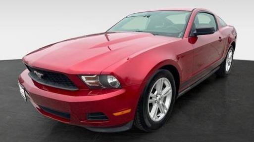 FORD MUSTANG 2010 1ZVBP8AN0A5102039 image