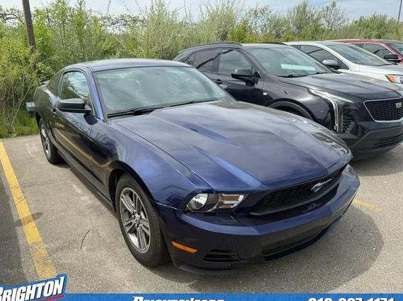 FORD MUSTANG 2010 1ZVBP8AN9A5128431 image