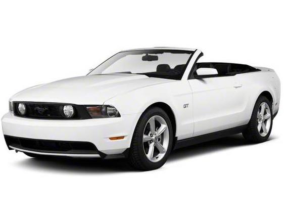 FORD MUSTANG 2010 1ZVBP8EN9A5176439 image