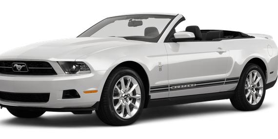 FORD MUSTANG 2010 1ZVBP8EN0A5170531 image