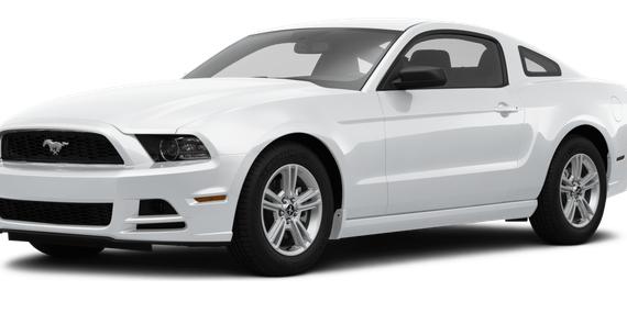 FORD MUSTANG 2014 1ZVBP8AM9E5231622 image