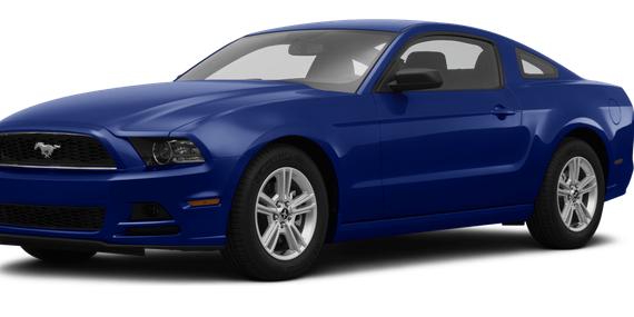 FORD MUSTANG 2014 1ZVBP8AM3E5321817 image