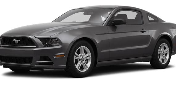 FORD MUSTANG 2014 1ZVBP8AM0E5269756 image