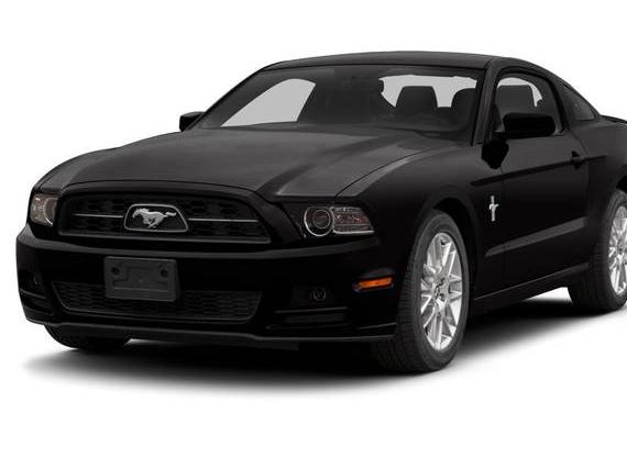 FORD MUSTANG 2014 1ZVBP8AM9E5260389 image