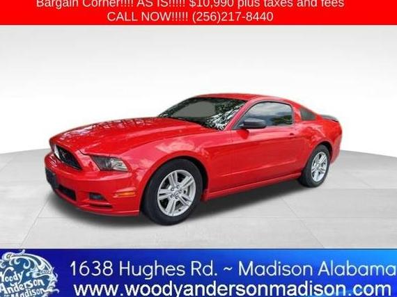 FORD MUSTANG 2014 1ZVBP8AM6E5250225 image