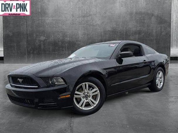 FORD MUSTANG 2014 1ZVBP8AM6E5299781 image