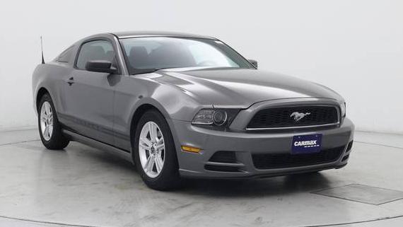 FORD MUSTANG 2014 1ZVBP8AM2E5224303 image