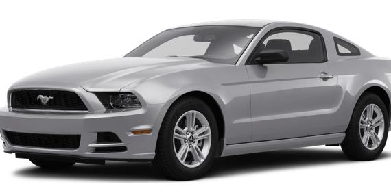 FORD MUSTANG 2014 1ZVBP8AM5E5276251 image