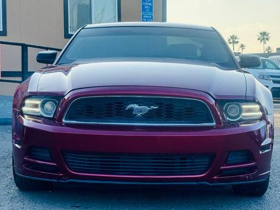 FORD MUSTANG 2014 1ZVBP8AM3E5333630 image