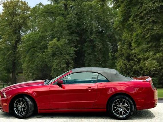 FORD MUSTANG 2014 1ZVBP8EM0E5294022 image