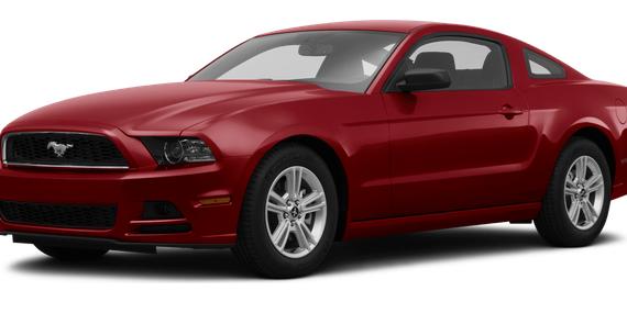 FORD MUSTANG 2014 1ZVBP8AM5E5313427 image