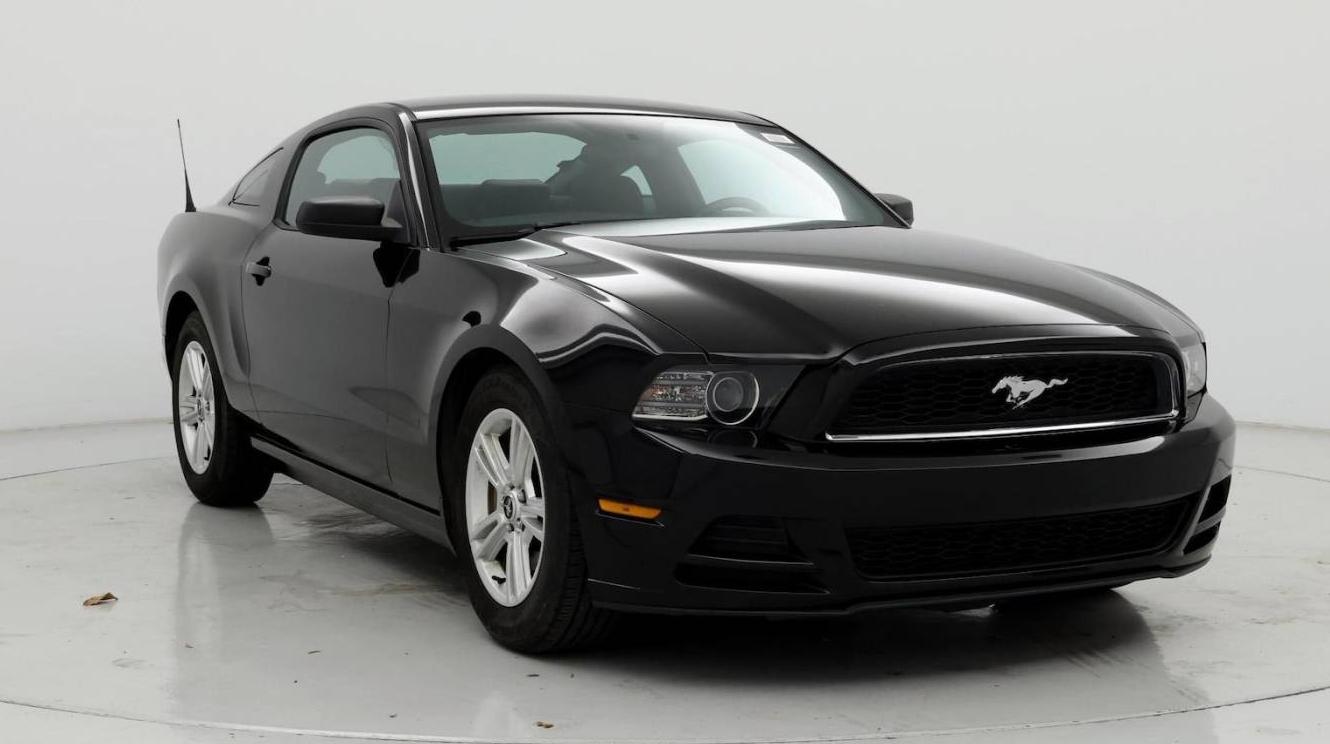 FORD MUSTANG 2014 1ZVBP8AM1E5244624 image