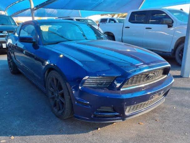 FORD MUSTANG 2014 1ZVBP8AM2E5254725 image