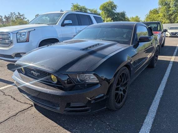 FORD MUSTANG 2014 1ZVBP8CF5E5212340 image