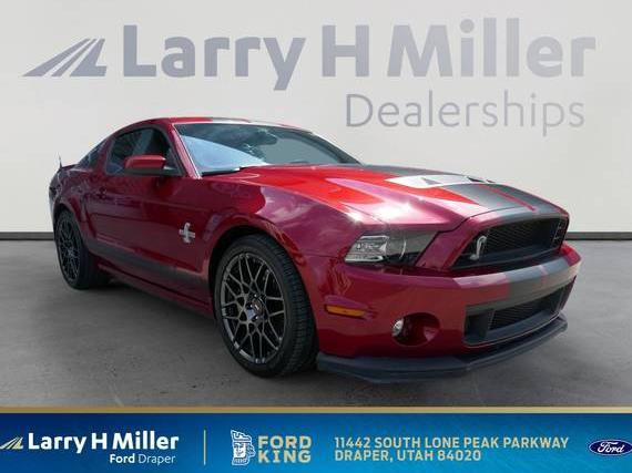 FORD MUSTANG 2014 1ZVBP8JZ1E5265789 image