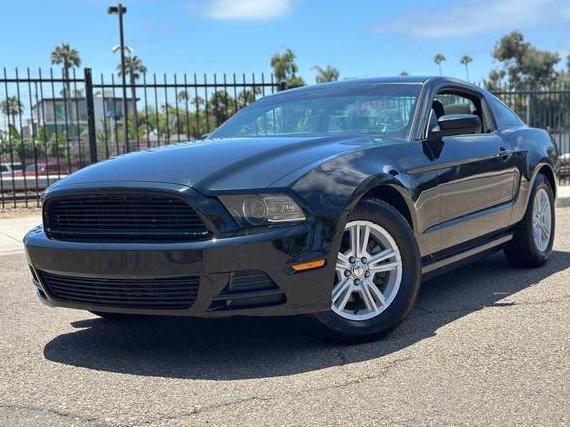 FORD MUSTANG 2014 1ZVBP8AMXE5250227 image