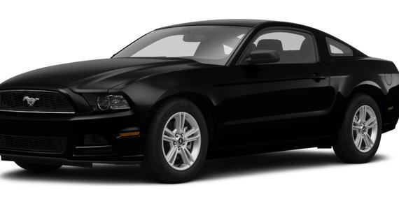 FORD MUSTANG 2014 1ZVBP8AM5E5319471 image