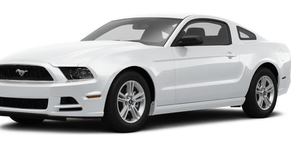 FORD MUSTANG 2014 1ZVBP8AMXE5286578 image