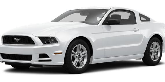 FORD MUSTANG 2014 1ZVBP8AM9E5252180 image