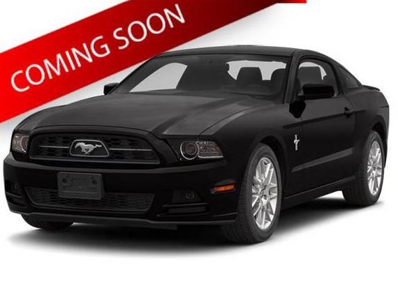 FORD MUSTANG 2014 1ZVBP8AM8E5269553 image