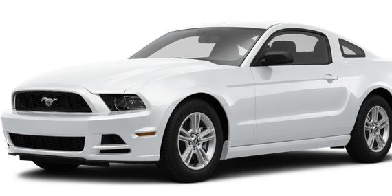 FORD MUSTANG 2014 1ZVBP8AM4E5226697 image