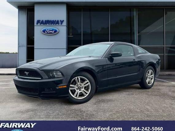 FORD MUSTANG 2014 1ZVBP8AM3E5314740 image