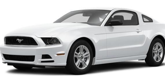 FORD MUSTANG 2014 1ZVBP8AM5E5207768 image
