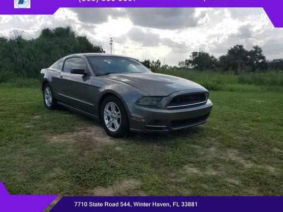FORD MUSTANG 2014 1ZVBP8AMXE5203294 image