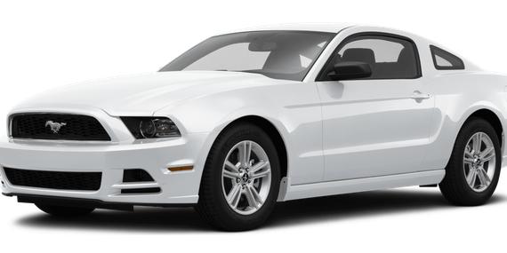 FORD MUSTANG 2014 1ZVBP8AM5E5328882 image