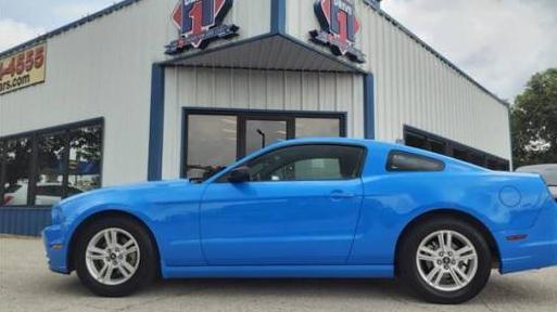 FORD MUSTANG 2014 1ZVBP8AM6E5259152 image