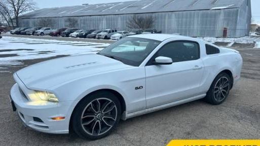 FORD MUSTANG 2014 1ZVBP8CF4E5231090 image