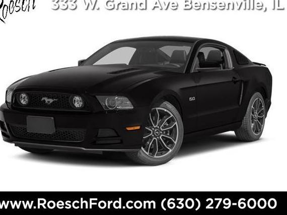 FORD MUSTANG 2014 1ZVBP8CF5E5290665 image