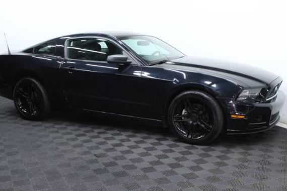 FORD MUSTANG 2014 1ZVBP8AMXE5333253 image