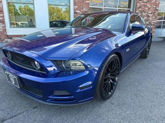 FORD MUSTANG 2014 1ZVBP8CF5E5222074 image