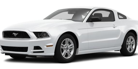 FORD MUSTANG 2014 1ZVBP8AM8E5332666 image