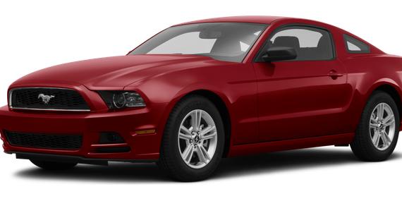 FORD MUSTANG 2014 1ZVBP8AM2E5210336 image