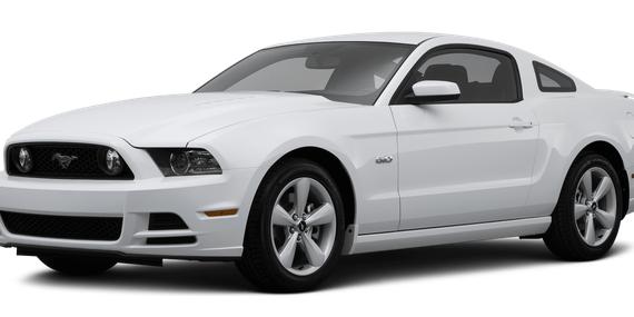 FORD MUSTANG 2014 1ZVBP8CF1E5204459 image