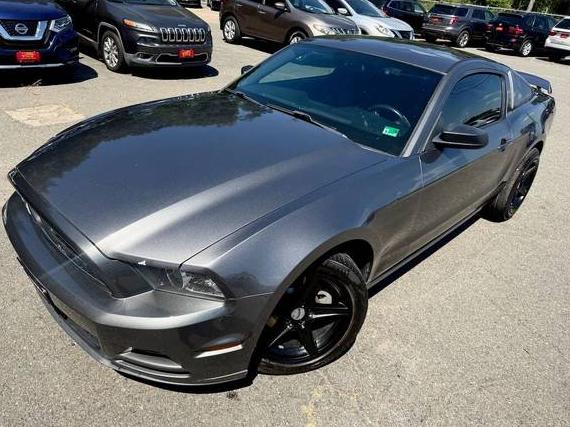 FORD MUSTANG 2014 1ZVBP8AM1E5273881 image FORD MUSTANG 2014 1ZVBP8AM1E5273881 image
