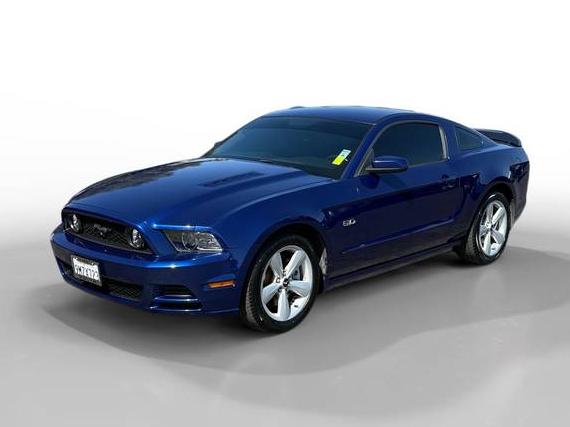 FORD MUSTANG 2014 1ZVBP8CF6E5281473 image