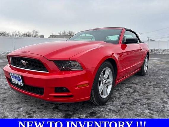 FORD MUSTANG 2014 1ZVBP8EM3E5331354 image FORD MUSTANG 2014 1ZVBP8EM3E5331354 image