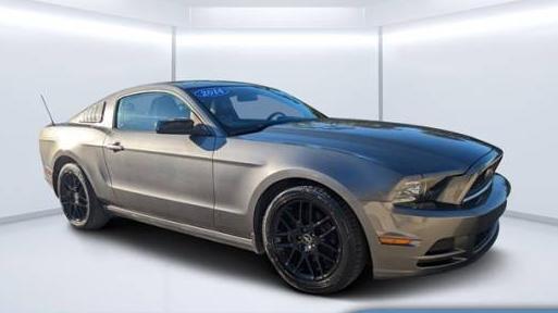 FORD MUSTANG 2014 1ZVBP8AM9E5298348 image